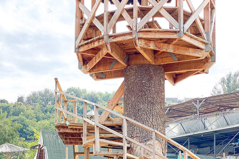 From Durres: Farmland, Vineyard &amp; Wine Tasting Tour