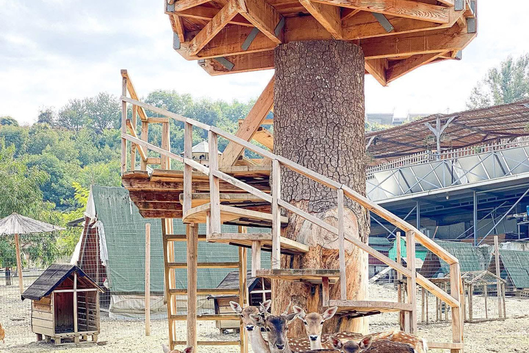 From Durres: Farmland, Vineyard &amp; Wine Tasting Tour