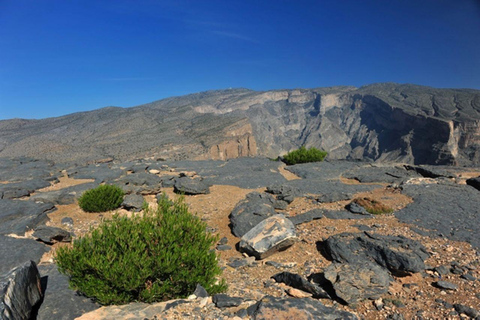 Tagestour nach Jabal Shams, Wadi Nakhar, Misfat Al Abriyeen