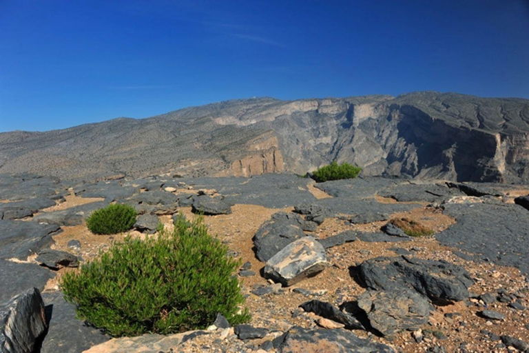 Tagestour nach Jabal Shams, Wadi Nakhar, Misfat Al Abriyeen