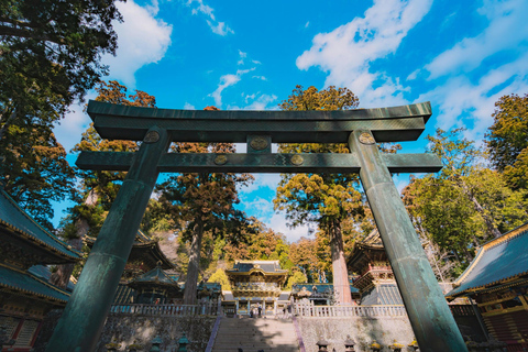 Depuis Tokyo : Excursion touristique d'une journée à Nikko