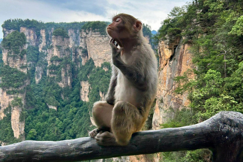 2-Day Private Zhangjiajie Tour -Avatar & Seven Star Mountain 2-Day Private Zhangjiajie Tour • Avatar&Seven Star Mountain