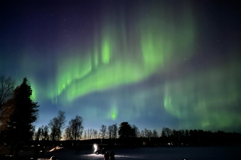 Rovaniemi: en nattlig resa på jakt efter norrskenet