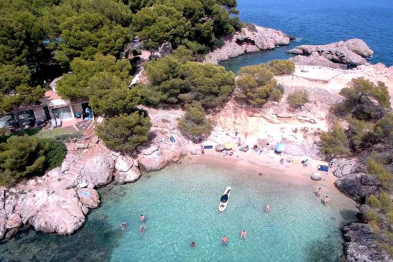 Mallorca: Discover paradisiacal coves on board of an exclusive catamaran