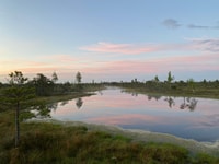From Riga, Trip to Kemeri National Park & Jurmala - Housity
