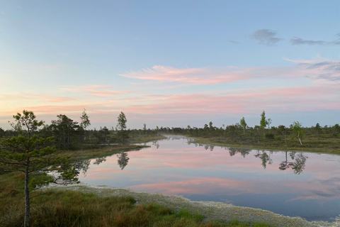 De Riga: Viagem ao Parque Nacional Kemeri e Jurmala