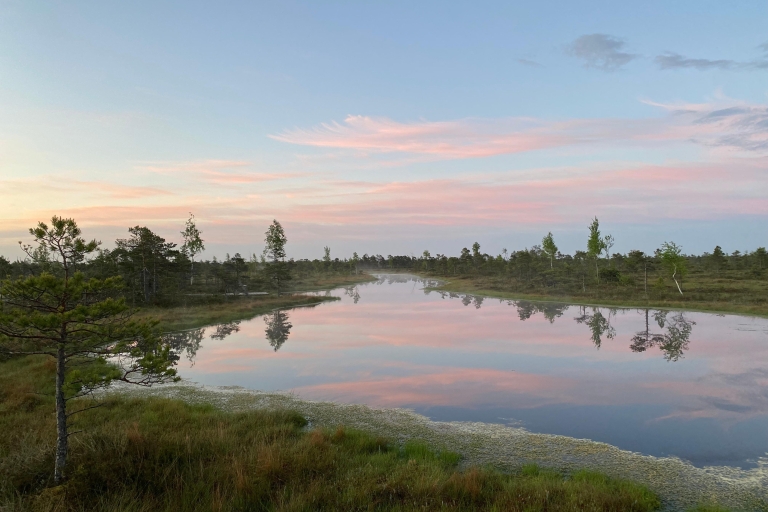 Desde Riga: Viaje al Parque Nacional de Kemeri y Jurmala
