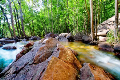 Darwin: Fuga subtropicale del Parco Litchfield - Tour privato