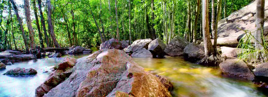 Darwin : Litchfield Park Sub-Tropical Escape - Visite privée