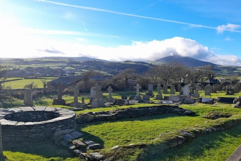 Isle of Man: Half Day Viking and Celtic Heritage Tour - Image 2