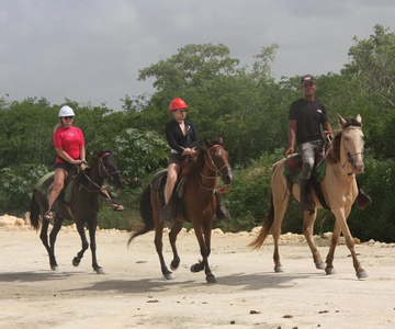 Bayahibe: Horseback Riding Tour with Local Snacks And River
