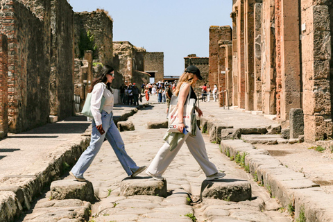 Pompeii: Private Guided Tour with Pick-up Private Tour in French from Positano