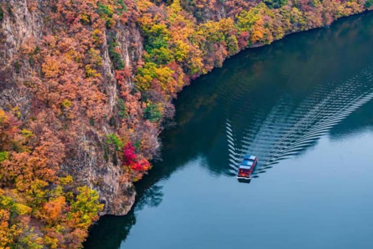 Tokio: Nikko – Private &amp; anpassbare Sightseeing-Tagestour