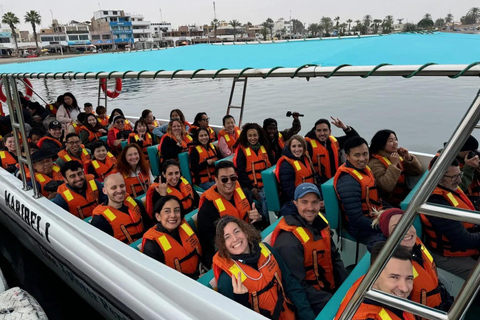 From Paracas: Candelabro to Oasis Route with Dune Adventure From Ica: Camels, Ica Traditions, and Sunset in Huacachina