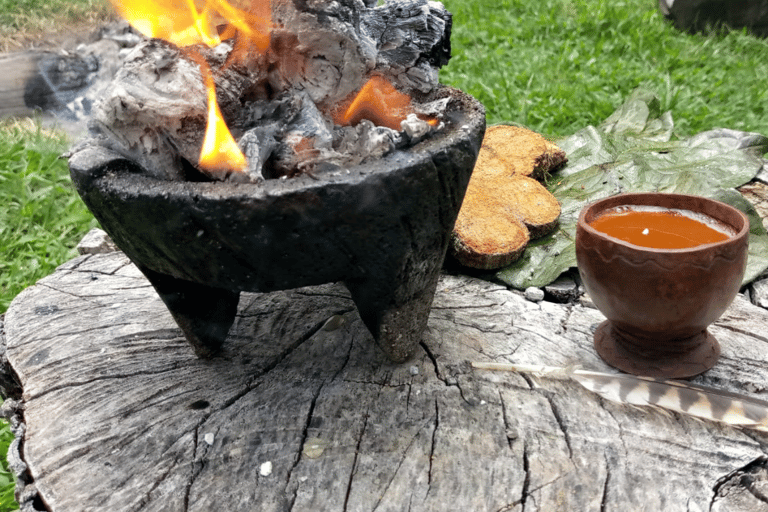 Amazonia Ecuador: Ayahuasca Ceremonie -Korte Retraite