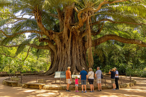 Brisbane: Botanic Gardens, River & Colonial Stories Tour
