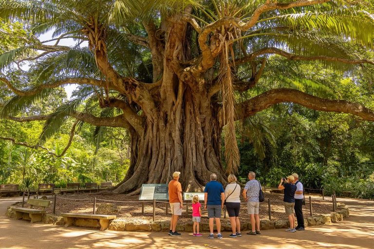 Brisbane: Botanic Gardens, River & Colonial Stories Tour