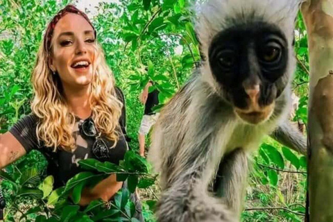 Zanzibar: Jozani & Salaam Monkeys, Mangroves & Secret Beach