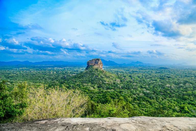 Colombo/Negombo: Sigiriya, Dambulla Höhle, &amp; Safari Tagestour