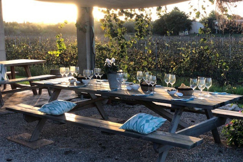 Visite guidée des vignobles et de la cave de Bodega Butxet avec dégustation