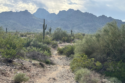 Phoenix: Guided Mountain Bike Adventure in Sonoran Desert 2-hour analog experience (Norco, Forbidden or Santa Cruz)