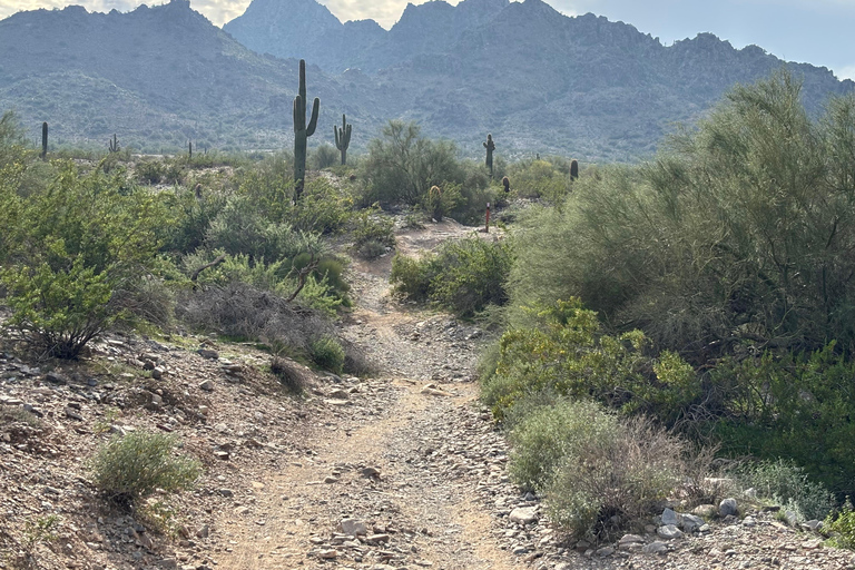 Phoenix: Guided Mountain Bike Adventure in Sonoran Desert 2-hour analog experience (Norco, Forbidden or Santa Cruz)