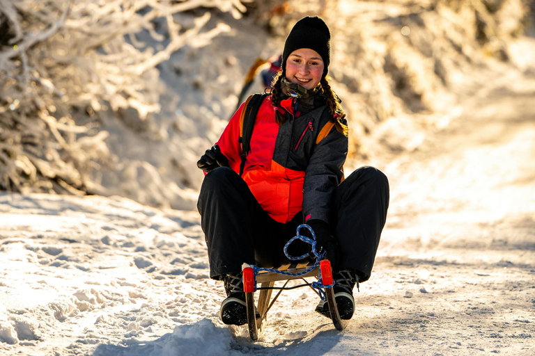 Unterseen: Nachtelijk sleeën en fonduefeestpakketUnterseen: Pakket met nachtsleeën en fonduefeest