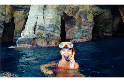 Excursión de snorkel a la Cala y Cuevas de La Jolla - Leones marinos