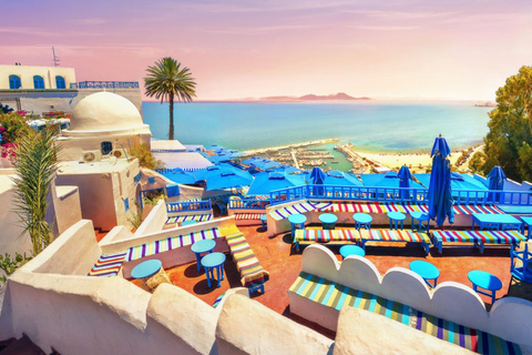 Monastir or Sousse: Tunis and Sidi Bou Said Day Trip