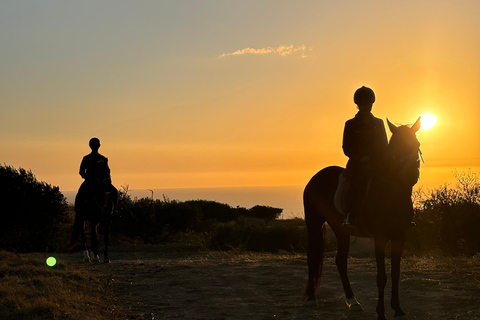 Romantic Experience with horses in the Natural Reserve WWF