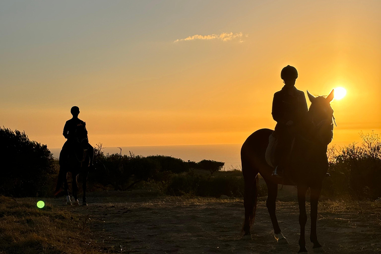 Romantic Experience with horses in the Natural Reserve WWF