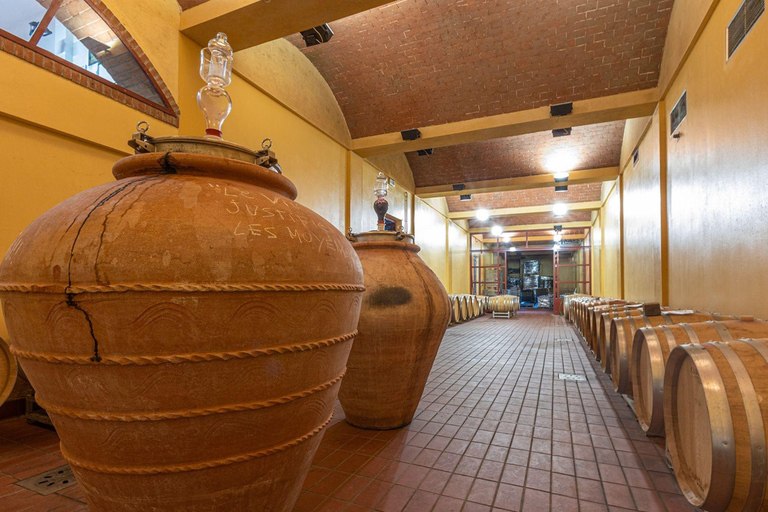 Visita a Bodegas y Cata de Vinos con Comida cerca de Livorno y PisaInglés