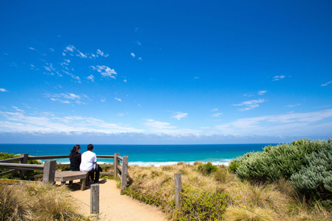 Melbourne：Magic-Reversed Great Ocean Road visite d&#039;une jounéeGroupe privé-（1-11 passagers）