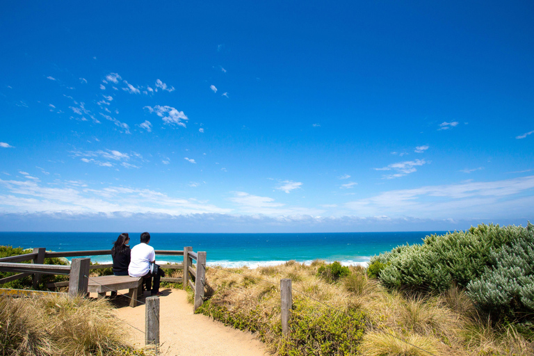 De Melbourne: Excursão de 1 dia pela Great Ocean Road Reversed Route