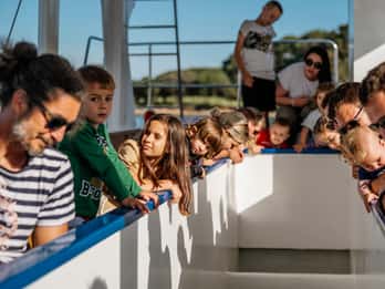 FAŽANA: PARCO NAZIONALE DI BRIUNI TOUR PRIVATO IN BARCA DI VETRO
