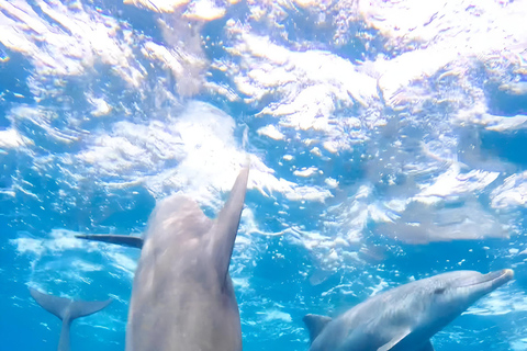 Sansibar-Strand-Erlebnis: Delphin und Schnorchel Bootstour