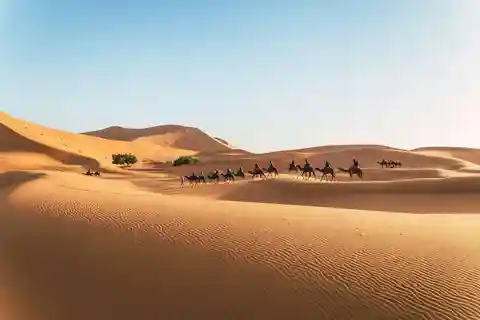 Desde Fez: Excursión a Marrakech por el desierto del Sahara en 3 días