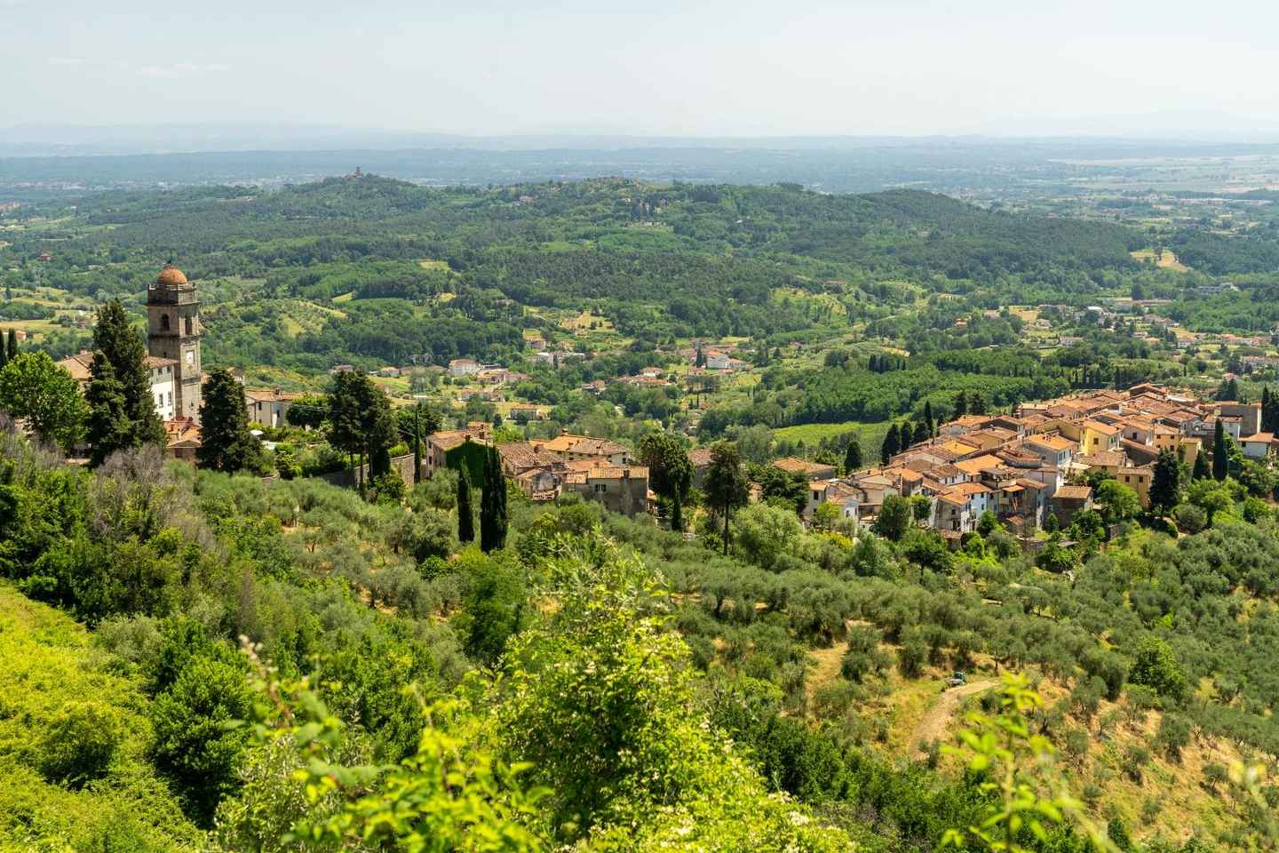 Lucca: passeggiata a Petrognano e San Gennaro con pranzo di degustazione