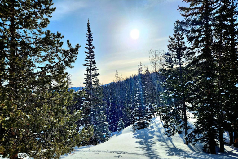 Women's Snowshoeing Tour: Rocky Mountain National Park