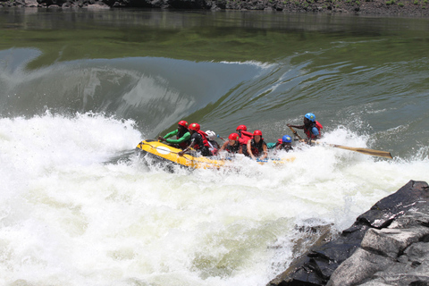 High-Water Zambezi Rafting from Victoria Falls & Livingstone