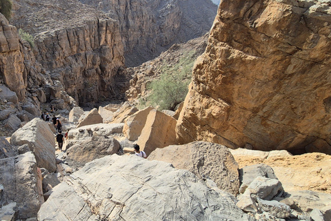 Dubaï : randonnée modérée sur le sentier de l&#039;oasis cachée de Jebel JaisDubaï : Randonnée modérée sur le sentier de l&#039;oasis cachée de Jebel Jais