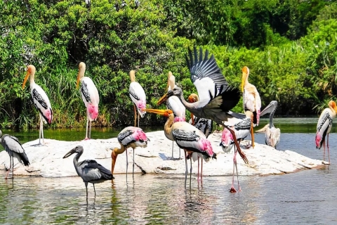 Keoladeo Bird Park Tour with one way transfer Jaipur to Agra Car+Driver+Guide Only