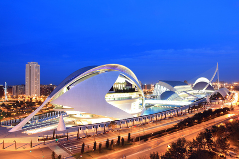 Valencia: Entrance to the Palau de Les Arts Valencia: Admission to the Palau de Les Arts with Brochure
