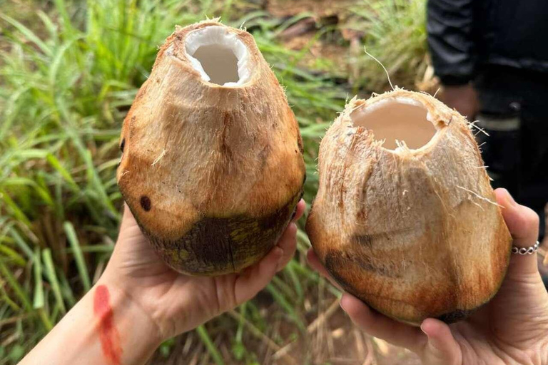 Zanzibar: Spice Farm, Jozani Forest & Salaam Cave Tour Private tour without hotel transfer
