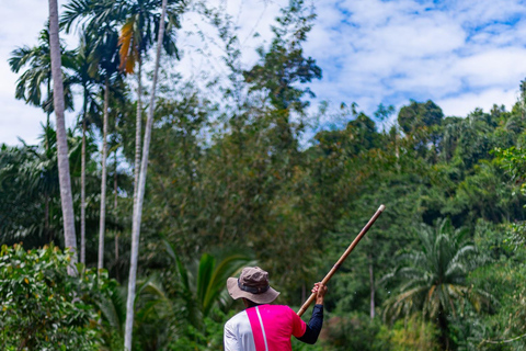 Depuis Phuket : quad, tyrolienne, rafting et faune à Khao LakFrom Phuket: Khao Lak ATV, Zipline, Rafting &amp; Wildlife Tour