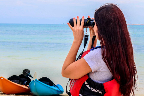 Al Khor: Kajakpaddling i mangroveskogen