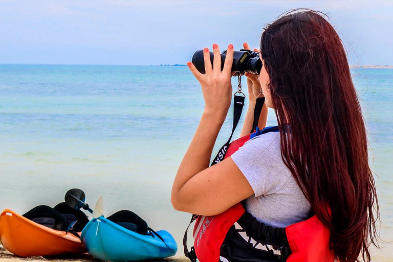 Al Khor: Kajakpaddling i mangroveskogen