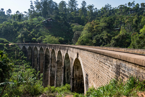 Sri Lanka: Walking Tour of Colombo,
