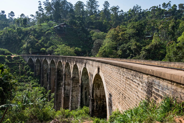 Sri Lanka: Walking Tour of Colombo,