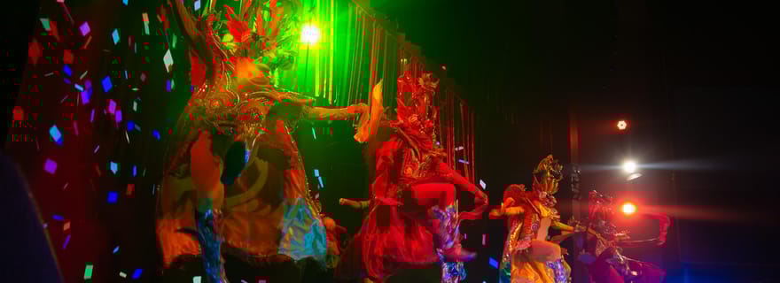 Saveurs du Pérou : dîner gastronomique et spectacle culturel en direct à Lima